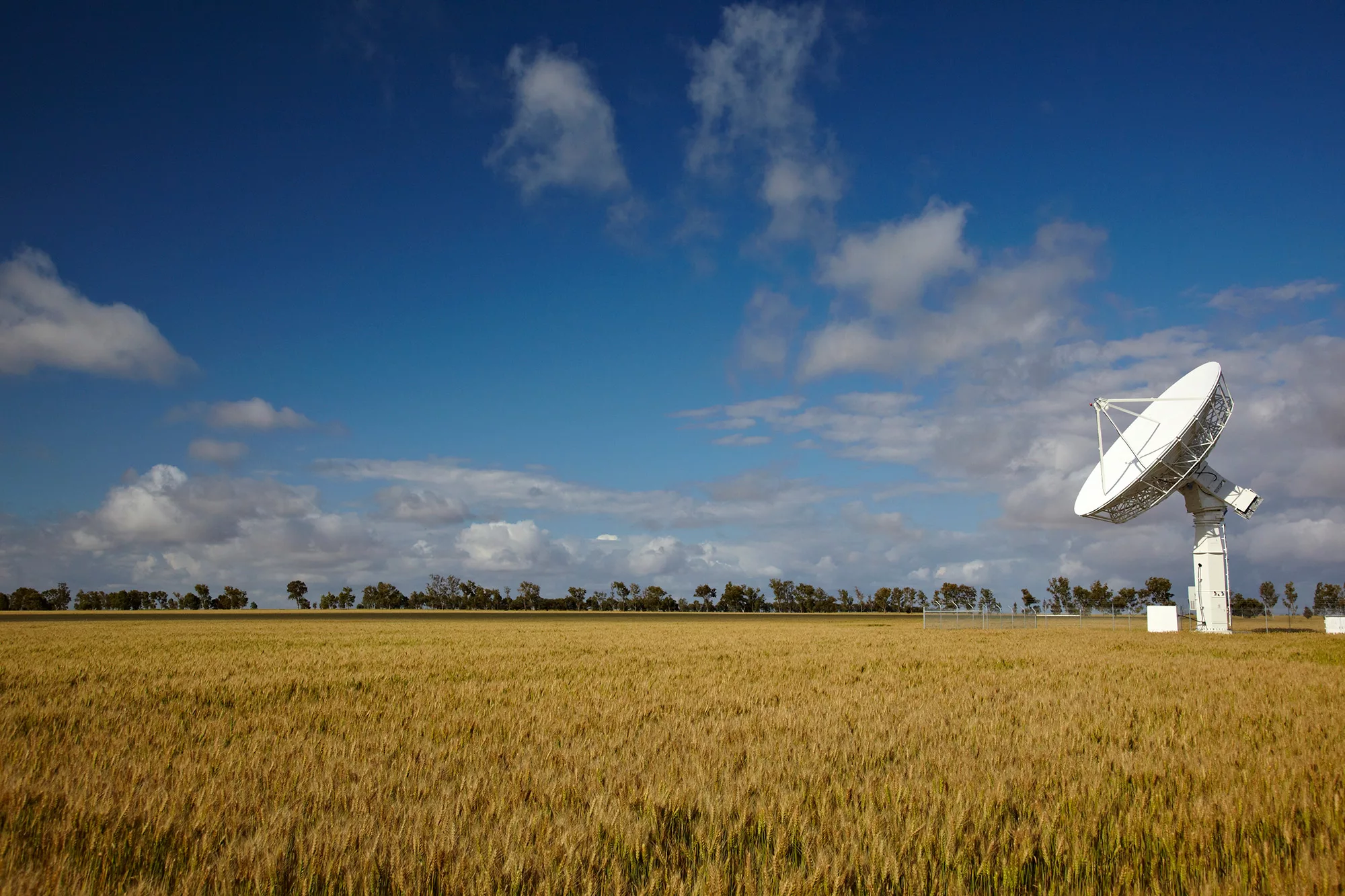 Antenna behind a rye field in Australia